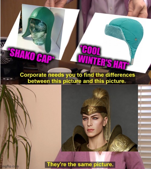 -+30 frost resistance. | *SHAKO CAP*; *COOL WINTER'S HAT* | image tagged in memes,they're the same picture,diablo,second amendment,gamer,rpg fan | made w/ Imgflip meme maker