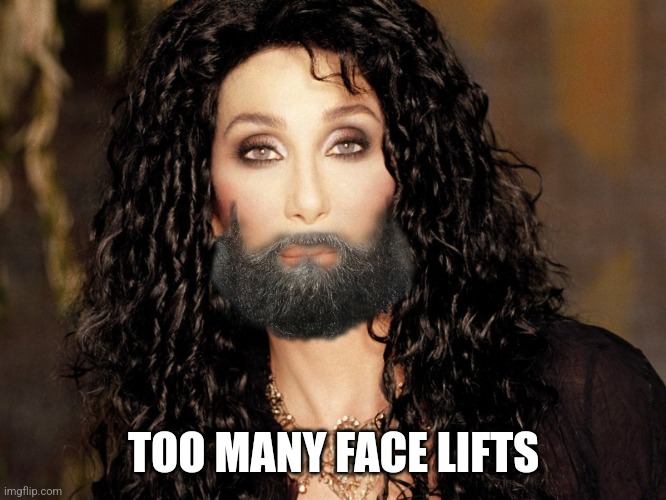 cher | TOO MANY FACE LIFTS | image tagged in cher | made w/ Imgflip meme maker