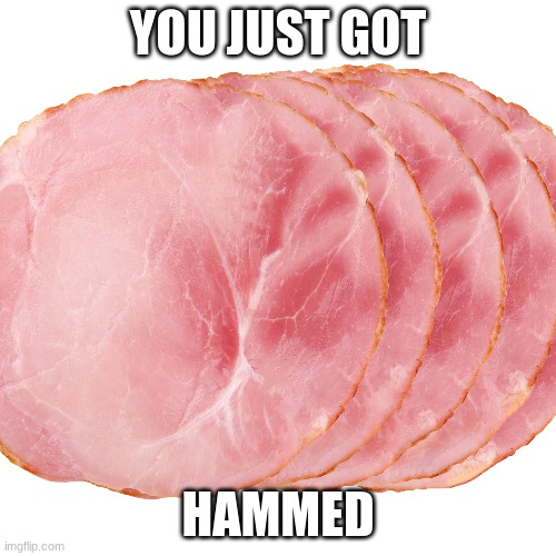 Ham |  YOU JUST GOT; HAMMED | image tagged in meat | made w/ Imgflip meme maker