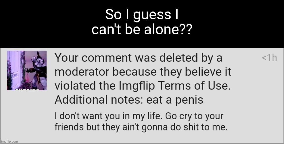 All this mod abusing makes great r/facepalm posts tho | So I guess I can't be alone?? | made w/ Imgflip meme maker