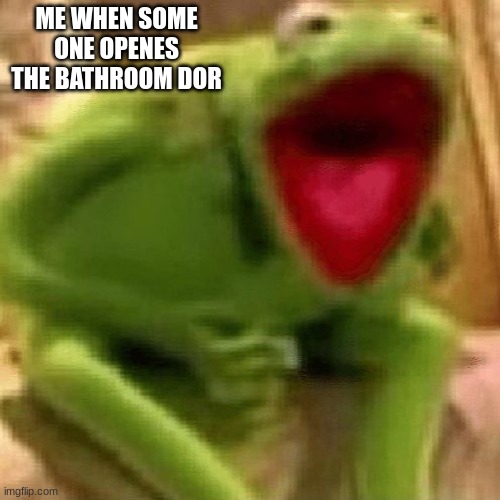 i cant have privacy | ME WHEN SOME ONE OPENES THE BATHROOM DOR | image tagged in kermit screaming | made w/ Imgflip meme maker