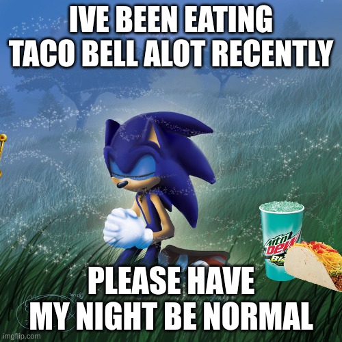 POV: Ur going to a party, but yu have bit of a problem | IVE BEEN EATING TACO BELL ALOT RECENTLY; PLEASE HAVE MY NIGHT BE NORMAL | image tagged in praying sonic | made w/ Imgflip meme maker