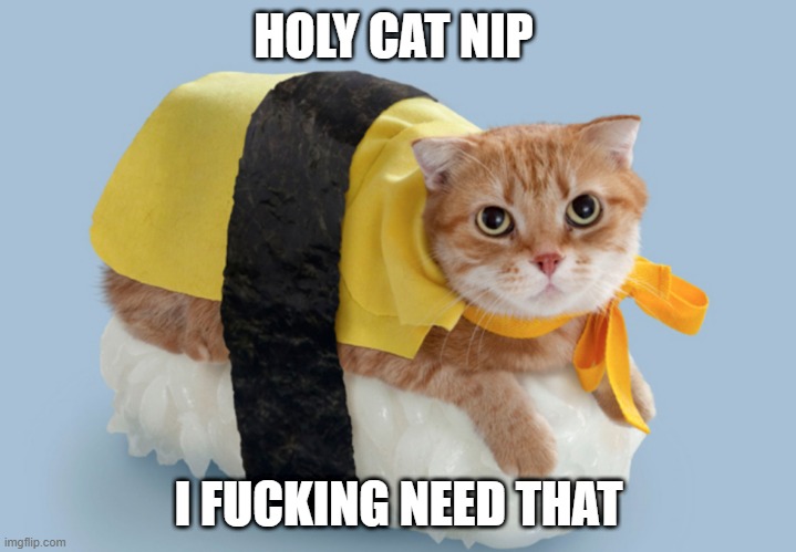 food cat | HOLY CAT NIP I FUCKING NEED THAT | image tagged in food cat | made w/ Imgflip meme maker