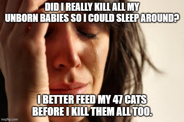 First World Problems | DID I REALLY KILL ALL MY UNBORN BABIES SO I COULD SLEEP AROUND? I BETTER FEED MY 47 CATS BEFORE I KILL THEM ALL TOO. | image tagged in memes,first world problems | made w/ Imgflip meme maker