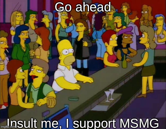 homer simpson me on facebook | Go ahead; Insult me, I support MSMG | image tagged in homer simpson me on facebook | made w/ Imgflip meme maker