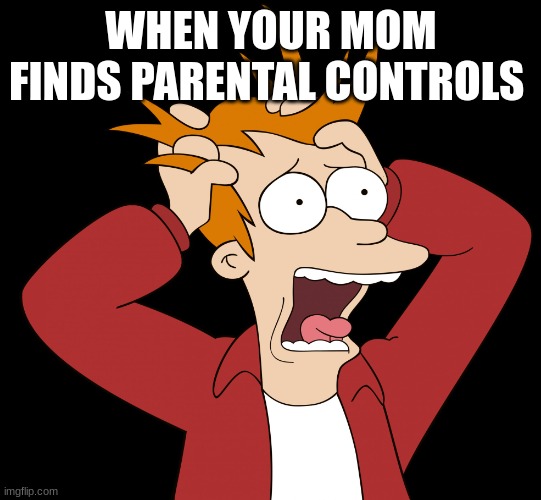 my mom | WHEN YOUR MOM FINDS PARENTAL CONTROLS | image tagged in futurama fry screaming | made w/ Imgflip meme maker