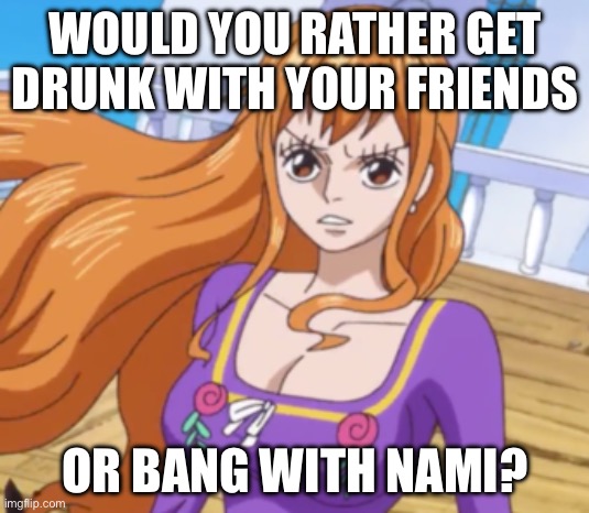Choose wisely | WOULD YOU RATHER GET DRUNK WITH YOUR FRIENDS; OR BANG WITH NAMI? | image tagged in cat burglar nami,would you rather,nami,memes,one piece,bang | made w/ Imgflip meme maker