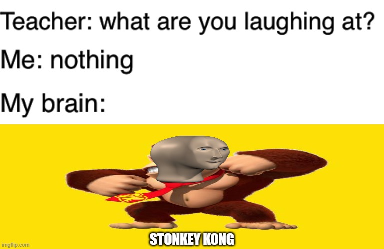 welp, i tried. what do yall think? | STONKEY KONG | image tagged in teacher what are you laughing at,memes,lol | made w/ Imgflip meme maker