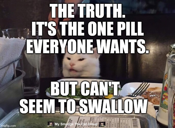 THE TRUTH. IT'S THE ONE PILL EVERYONE WANTS. BUT CAN'T SEEM TO SWALLOW | image tagged in smudge the cat | made w/ Imgflip meme maker