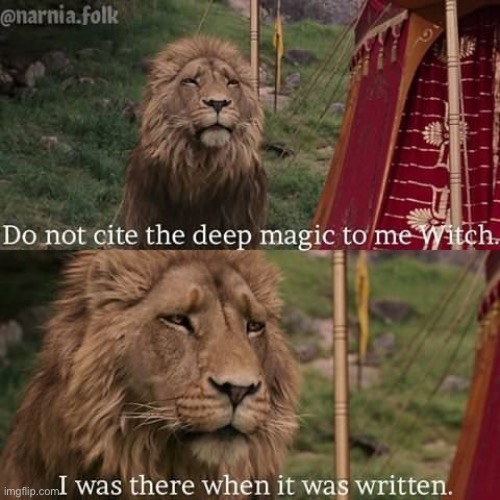 Narnia magic | image tagged in narnia magic | made w/ Imgflip meme maker