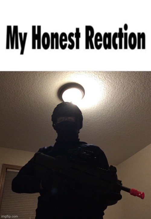 image tagged in my honest reaction | made w/ Imgflip meme maker