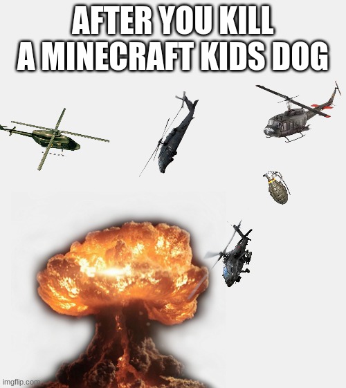 the minecraft dog | AFTER YOU KILL A MINECRAFT KIDS DOG | image tagged in boom | made w/ Imgflip meme maker