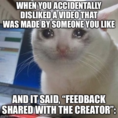 Fr | WHEN YOU ACCIDENTALLY DISLIKED A VIDEO THAT WAS MADE BY SOMEONE YOU LIKE; AND IT SAID, “FEEDBACK SHARED WITH THE CREATOR”: | image tagged in crying cat | made w/ Imgflip meme maker