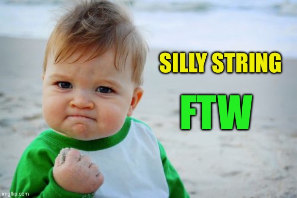 Success Kid Original Meme | SILLY STRING FTW | image tagged in memes,success kid original | made w/ Imgflip meme maker