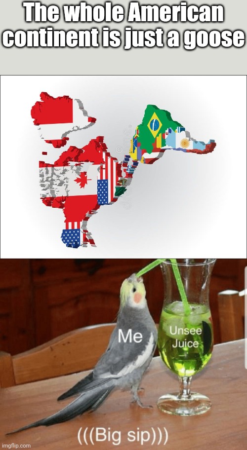 Time to drink the unsee juice! (That's either a goose or a duck) | The whole American continent is just a goose | image tagged in unsee juice,memes,america,funny,unsee,can't unsee | made w/ Imgflip meme maker