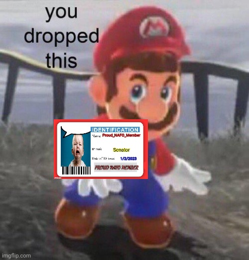 Mario You dropped this | image tagged in mario you dropped this | made w/ Imgflip meme maker