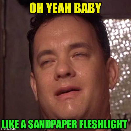 Tom Hanks Orgasm | OH YEAH BABY LIKE A SANDPAPER FLESHLIGHT | image tagged in tom hanks orgasm | made w/ Imgflip meme maker