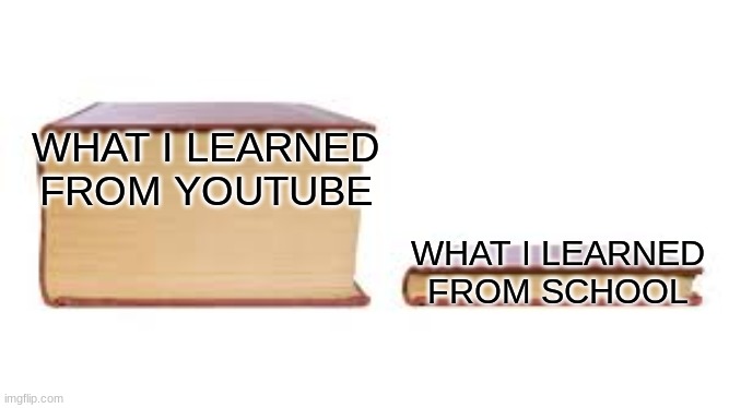 Big book small book | WHAT I LEARNED FROM YOUTUBE; WHAT I LEARNED FROM SCHOOL | image tagged in big book small book | made w/ Imgflip meme maker