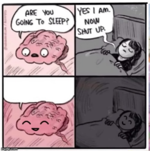 happy sleep Blank Meme Template