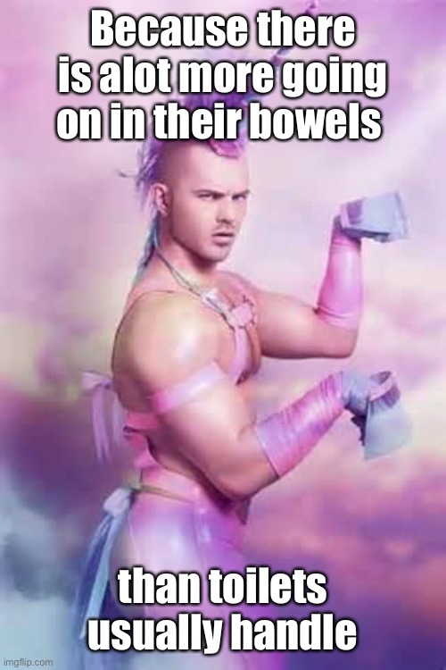 Gay Unicorn | Because there is alot more going on in their bowels than toilets usually handle | image tagged in gay unicorn | made w/ Imgflip meme maker