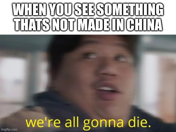 ? | WHEN YOU SEE SOMETHING THATS NOT MADE IN CHINA | image tagged in we're all gonna die | made w/ Imgflip meme maker