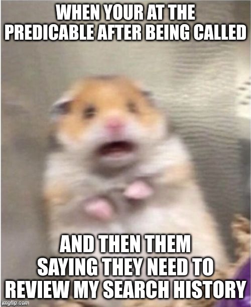 Scared Hamster | WHEN YOUR AT THE PREDICABLE AFTER BEING CALLED; AND THEN THEM SAYING THEY NEED TO REVIEW MY SEARCH HISTORY | image tagged in scared hamster,relatable | made w/ Imgflip meme maker