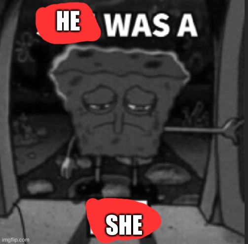 She was a he | HE SHE | image tagged in she was a he | made w/ Imgflip meme maker