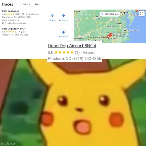 I was trying to show my friends the type of dog i have... | image tagged in memes,surprised pikachu,hold up,hold up wait a minute something aint right,wait what | made w/ Imgflip meme maker