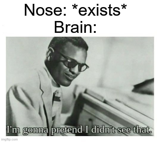 I'm gonna pretend I didn't see that | Nose: *exists*
Brain: | image tagged in i'm gonna pretend i didn't see that | made w/ Imgflip meme maker