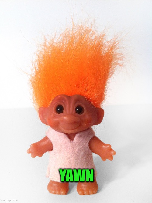 Troll doll | YAWN | image tagged in troll doll | made w/ Imgflip meme maker