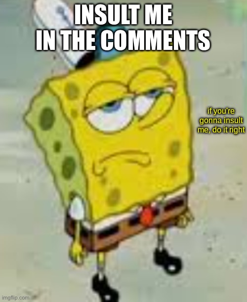 ????????????????????? | INSULT ME IN THE COMMENTS | image tagged in if you're gonna insult me do it right,roast me,oh wow are you actually reading these tags,bye your going to ohio | made w/ Imgflip meme maker