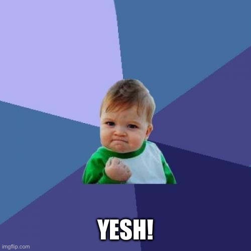 Success Kid | YESH! | image tagged in memes,success kid | made w/ Imgflip meme maker