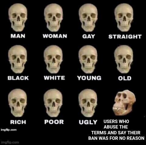 idiot skull | USERS WHO ABUSE THE 
TERMS AND SAY THEIR 
BAN WAS FOR NO REASON | image tagged in idiot skull | made w/ Imgflip meme maker