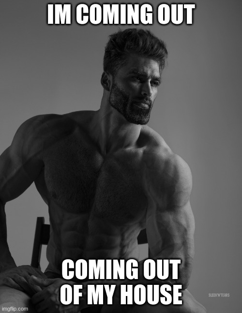 Giga Chad | IM COMING OUT; COMING OUT OF MY HOUSE | image tagged in giga chad | made w/ Imgflip meme maker