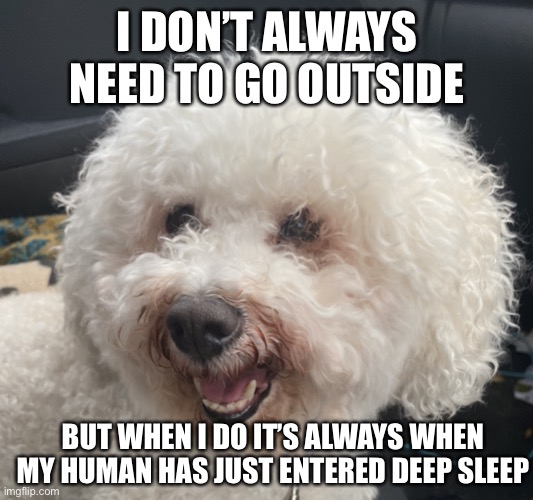 doggone habits | I DON’T ALWAYS NEED TO GO OUTSIDE; BUT WHEN I DO IT’S ALWAYS WHEN MY HUMAN HAS JUST ENTERED DEEP SLEEP | image tagged in doggone logic | made w/ Imgflip meme maker
