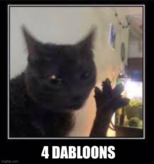 Dabloons Cat | 4 DABLOONS | image tagged in dabloons cat | made w/ Imgflip meme maker