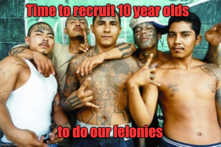 mexican gang members | Time to recruit 10 year olds to do our felonies | image tagged in mexican gang members | made w/ Imgflip meme maker