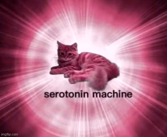 why did i get 3 followers in the past 3 days | made w/ Imgflip meme maker