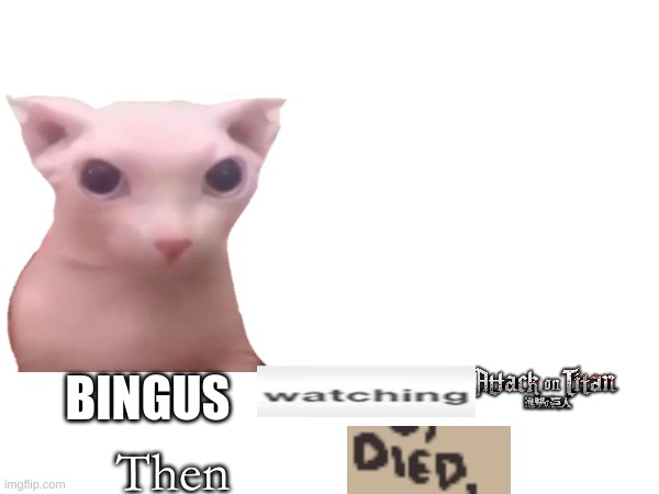 my expand dong | BINGUS; Then | image tagged in expand dong | made w/ Imgflip meme maker