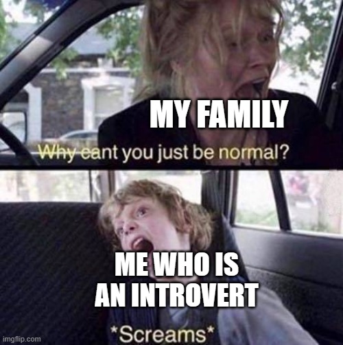 let me be | MY FAMILY; ME WHO IS AN INTROVERT | image tagged in why can't you just be normal,so true memes | made w/ Imgflip meme maker
