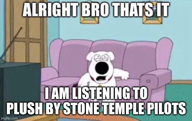AIGHT BRO THATS IT | I AM LISTENING TO PLUSH BY STONE TEMPLE PILOTS | image tagged in aight bro thats it | made w/ Imgflip meme maker