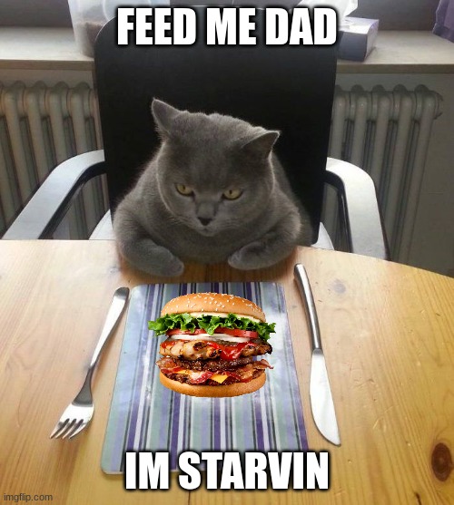 hungry cat | FEED ME DAD; IM STARVIN | image tagged in hungry cat | made w/ Imgflip meme maker
