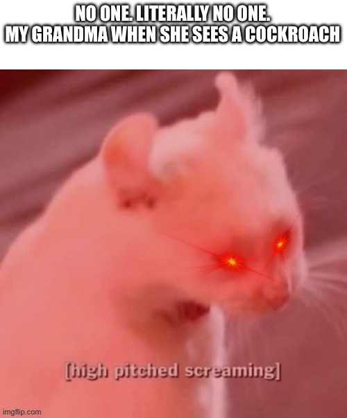 Again, it’s not repost plz accept it | NO ONE. LITERALLY NO ONE.
MY GRANDMA WHEN SHE SEES A COCKROACH | image tagged in high pitched screaming | made w/ Imgflip meme maker