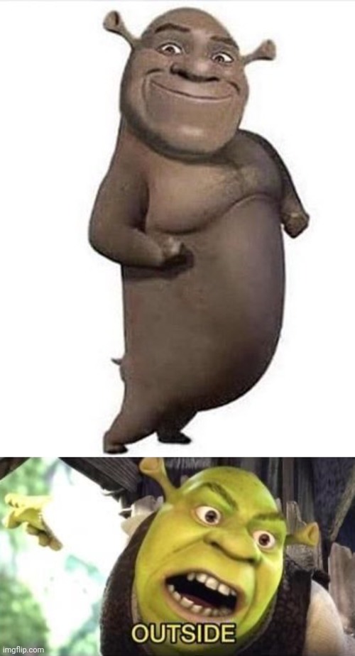 Hippo Shrek | image tagged in outside,hippo,shrek,memes,cursed image,hippos | made w/ Imgflip meme maker