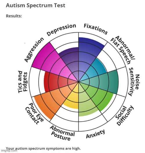 here is my test results | image tagged in autism | made w/ Imgflip meme maker