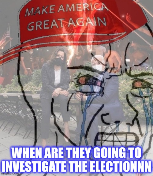 PTSD MAGA wojak 2 | WHEN ARE THEY GOING TO
INVESTIGATE THE ELECTIONNN | image tagged in ptsd maga wojak 2 | made w/ Imgflip meme maker