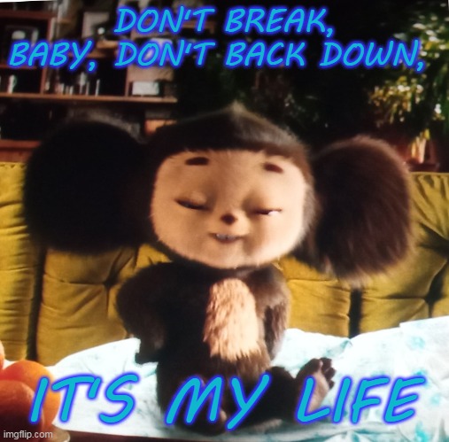 Cheburashka says | DON'T BREAK, BABY, DON'T BACK DOWN, IT'S MY LIFE | image tagged in movie,fluffy,big ears,attitude | made w/ Imgflip meme maker