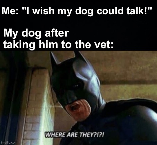 If you know, you know... | Me: "I wish my dog could talk!"; My dog after taking him to the vet: | image tagged in batman where are they 12345,memes,unfunny | made w/ Imgflip meme maker