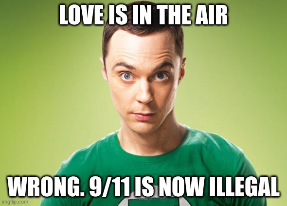 Sheldon Cooper | LOVE IS IN THE AIR; WRONG. 9/11 IS NOW ILLEGAL | image tagged in sheldon cooper | made w/ Imgflip meme maker