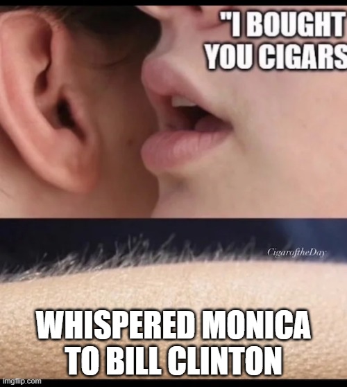 Monica | WHISPERED MONICA TO BILL CLINTON | image tagged in monica | made w/ Imgflip meme maker